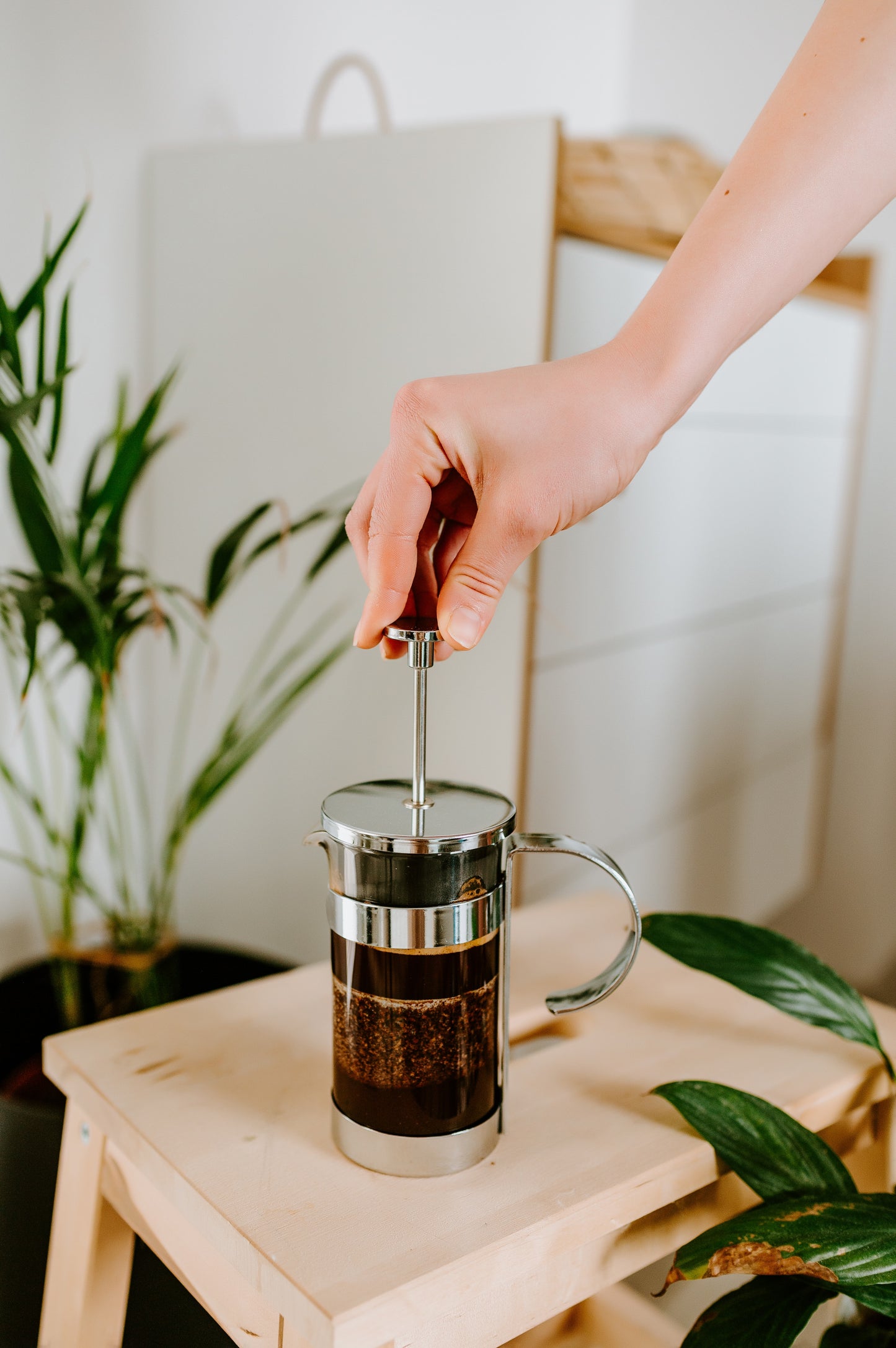 Experiencia Barista De La Casa